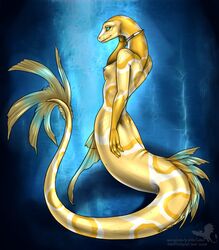 anthro blue_eyes breasts claws female female_only legless linsey_huish nipples reptile sidian simple_background snake solo tail white_body