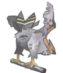 animal_genitalia avian cloaca feral kusty nintendo plain_background pokemon pokemon_(species) solo talonflame video_games