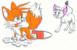 all_fours anthro canine crossover feral fox fur furry_tail interspecies kimba kimba_the_white_lion lion looking_at_another looking_back male male_only mammal multiple_males multiple_tails sonic_(series) sonic_the_hedgehog_(series) sonic_the_hedgehog_2 soraya tagme tail tails