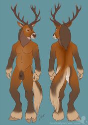 anthro ass balls brown_eyes brown_fur cervid cervine deer fluffy fluffy_tail fur genitals horns linsey_huish male male_only model_sheet nipples penis sidian simple_background solo tail two_tone_fur