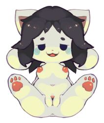 :3 anthro anus blush breasts clitoris female fur furry furry_only genitals inverted_nipples mammal nipples nude pawpads paws pussy solo star-rod tem temmie_(undertale) undertale undertale_(series) video_games