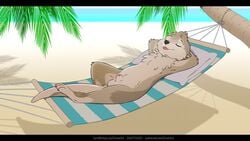 16:9 animal_genitalia anthro balls beach black_bars brown_body brown_fur danzer fur genitals hammock letodoesart letterbox lutrine male mammal mustelid nude sand seaside sheath solo widescreen