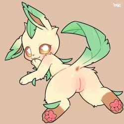 blush blush_face blushed_face blushing blushing_at_viewer blushing_female eeveelution female female_focus female_only leafeon looking_at_viewer pawpads paws pokemon pokemon_(species) pussy showing_pussy simple_background ttaki vagina vaginal