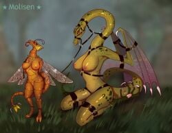 antennae_(anatomy) anthro arthropod belt big_breasts bondage bondage bound breasts dragon dragon_fly_(might_and_magic) dragonfly duo european_mythology female female/female genitals grass green_body green_scales harness heroes_of_might_and_magic heroes_of_might_and_magic_3 hi_res hybrid insect_wings insects kneeling larger_female leash long_neck membrane_(anatomy) membranous_wings might_and_magic molisen muzzle_(object) muzzled mythological_creature mythological_scalie mythology non-mammal_breasts outside plant pussy red_eyes scales scalie size_difference smaller_female spikes tail tongue tongue_out ubisoft western_dragon wings wyvern wyvern_(might_and_magic)