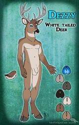 anthro balls blue_eyes brown_fur cervid cervine deer fluffy fluffy_tail genitals horns linsey_huish male male_only model_sheet sidian simple_background smile solo tail