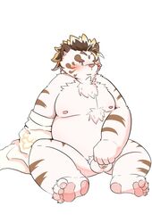 2020 anthro balls belly blush felid flaccid fur genitals kemono lantu_(artist) licho_(tokyo_afterschool_summoners) male male_only mammal moobs nipples overweight overweight_anthro overweight_male pantherine penis simple_background solo tiger tokyo_afterschool_summoners video_games white_background white_body white_fur