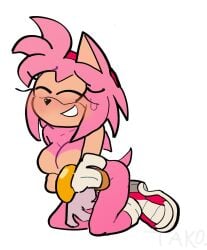 amy rose from sega by tako friend