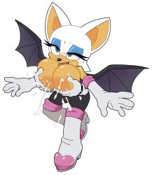 rouge the bat from sega by leatherruffian