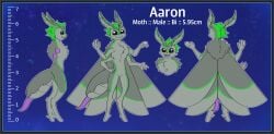 1boy 2024 4_arms 4_fingers 4_wings aaron_(avali) absurd_res alternate_species antennae_(anatomy) anthro arthropod arthropod_abdomen arthropod_abdomen_genitalia arthropod_abdomen_penis biped black_eyes blue_border border bust_portrait character_name chart chest_tuft cosmic_background digital_drawing_(artwork) digital_media_(artwork) digitigrade english_text featureless_crotch fingers flat_colors fluffy front_view fur genitals green_antennae green_body green_fur green_hair grey_antennae grey_body grey_fur grey_head grey_wings hair height height_chart hi_res information insects lepidopteran long_antennae long_neck male measurements model_sheet moth multi_arm multi_limb multi_wing nude nude_anthro nude_male outline penis portrait purple_insides purple_mouth purple_penis rear_view side_view sky solo species_name standing star starry_background starry_sky stated_bisexuality stated_sexuality tapering_penis text tuft wasteroforange white_outline wings