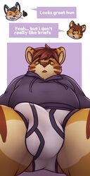 anthro blush briefs bulge clothing felid feline first_person_view furry gabe_(mytigertail) genital_outline hoodie male male_only mammal mytigertail pantherine penis_outline slightly_chubby solo tiger topwear underwear