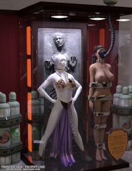 3d bound bound_arms bound_legs carbonite completely_nude completely_nude_female han_solo mannequin nude nude_female princess_leia_organa star_wars thejpeger trophy_case