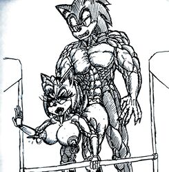 ahe_gao ahe_gao ambiguous_penetration amy_rose bns_arts female lactating lactation male muscle muscular naked nude sonic_(series) sonic_the_hedgehog t.n. t.n._(artist)