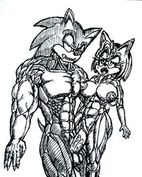 ahe_gao ahe_gao amy_rose big_breasts big_penis bns_arts cum female lactating lactation male muscle muscular naked nude sonic_(series) sonic_the_hedgehog sweat t.n. t.n._(artist) vaginal_penetration