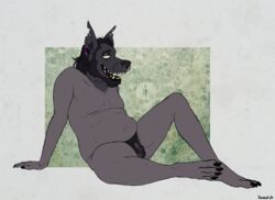 anthro balding balls belly biped body_hair canid canine canis cynocephalus foxmusk fur genitals hair hairy male male_only mammal nude penis slightly_chubby solo spit_(foxmusk) yellow_teeth