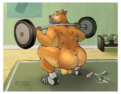 1boy 2020 anthro ass balls ballsack barbell big_balls big_balls_small_penis big_butt bite biting_lip black_muzzle blush bodily_fluids border bubble_butt butt canid canine canis carpet clenched_teeth clothing crouching dangling_testicles deadlift detailed_background discarded_clothing domestic_dog dumbbell embarrassed exercise flaccid_penis footwear footwear_only foreskin fur genitals gym hi_res humanoid_penis intact jockstrap looking_back low_hanging_balls male male_only mammal masculine mature_male mostly_nude muscular_male nub_tail nude_male partially_retracted_foreskin penis pit_bull pj_(pittiepj) rooinks scrotum shoes shoes_only short_tail signature slightly_chubby small_tail sneakers socks solo sweat tan_body tan_fur teeth testicles thick_thighs uncut underwear watermark weightlifting weights white_border workout yellow_eyes