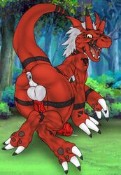 1boy anus balls digimon digimon_tamers dinosaur dragon feral growlmon mainnm-e male male_only penis precum scaley solo