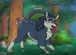 animated female feral feral_only furry nintendo the_legend_of_zelda twilight_princess wolf wolf_link