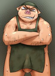 2015 anthro apron balls belly bodily_fluids clothed clothing diru11 domestic_pig erection erection_under_clothing genitals hairy hi_res kemono male male_only mammal overweight overweight_anthro overweight_male solo suid suina sus_(pig) sweat