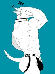 abs anthro bull_terrier flexing julius male_only muscular muscular_male nipples obliques pecs ribs tush veiny