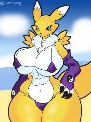 abs anthro armwear bandai_namco beach bikini bikini_bottom bikini_top blue_eyes breasts canid canine cleavage clothed clothing digimon digimon_(species) elbow_gloves female female_abs fox gloves hand_on_hip handwear hi_res mammal muscular muscular_anthro muscular_female neck_tuft punch_pubby renamon swimwear thick_thighs tuft two-piece_swimsuit wide_hips