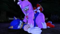 amy rose from sega by nackyliber