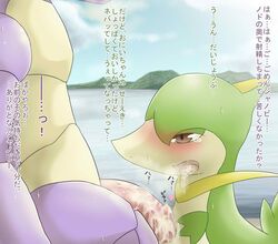 Pokemon (Species) Rule 34 Image