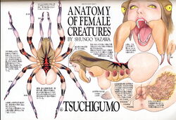 1girls affront_to_nature anus ass body_horror female female_only folklore furry monster_girl mythology nightmare_fuel no_cheeks public_domain shungo_yazawa spider spider_girl translation_request tsuchigumo