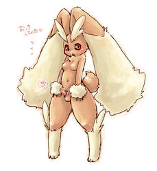 1futa animal_genitalia anthro black_sclera blush breasts brown_eyes brown_fur color estro-boi exposed_breasts fur furry furry_breasts furry_ears furry_tail futa_only futanari haruki intersex japanese_text long_ears looking_at_viewer lopunny nintendo no_nipples open_eyes penis pokémon_(species) pokemon pokemon_(species) simple_background small_breasts small_penis solo tail testicles text white_background