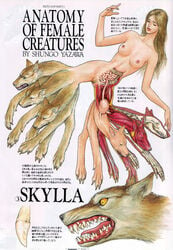 breasts european_mythology greek_mythology monster monster_girl mythology nightmare_waifu public_domain scylla shungo_yazawa translation_request x-ray