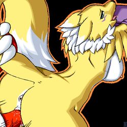 anthro ass breasts digimon faceless_male female furry guilmon interspecies male mindsedge mostly_nude penis renamon sex straight