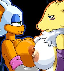 anthro bat breasts crossover digimon eye_contact female female_only furry interspecies looking_at_another mindsedge mostly_nude renamon rouge_the_bat side_view sonic_(series)