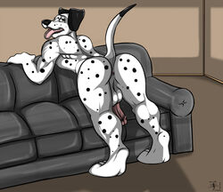 101_dalmatians 2009 anthro ass bent_over canine dalmatian disney dog fur furry indoors male male_only nude penis pongo solo tagme tail testicles