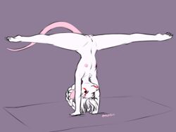 2020 4:3 anthro braided_hair breasts claws facial_markings female flexible front_view genitals hair halcy0n handstand head_markings hi_res looking_aside mammal markings mat murid murine navel nipples nude pink_nose plantigrade purple_background pussy rat rodent simple_background small_breasts small_waist smile solo splits spread_legs spreading upside-down white_body white_hair