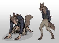 animal_genitalia animal_penis anthro balls canid canine canis claws clothed clothing fur genitals hi_res male male_only mammal penis rovak sheath simple_background solo transformation were werecanid werecanine werewolf wolf