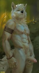 1boy 2022 anthro athletic ball_grab balls canid canine canis chunie detailed_background digital_media_(artwork) erection foreskin fur genitals hi_res humanoid_genitalia humanoid_penis looking_at_viewer male male_only mammal nipples nude partially_retracted_foreskin penis solo white_body white_fur wolf