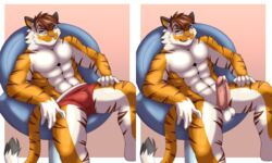 5:3 anthro balls barazoku big_(disambiguation) bodily_fluids bulge clothing coffeecat domestic_cat felid feline felis genital_fluids genitals hi_res kemono male male_only mammal muscular muscular_anthro muscular_male nude pantherine penis precum sex solo tiger underwear version_comparison