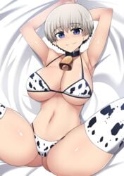 1girls blue_eyes blush choker cow_bikini cow_print cowbell female female_only hinghoi huge_breasts large_breasts looking_at_viewer mookini navel panties silver_hair skin_fang solo tagme thick_thighs uzaki-chan_wa_asobitai! uzaki_hana