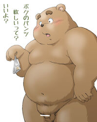 2016 anthro balls belly brown_body brown_fur clothing dekatanu fur genitals japanese_text kemono male male_only mammal navel overweight overweight_anthro overweight_male penis simple_background solo text underwear ursid white_background young