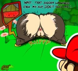 ass ass_window asshole embarrassed huge_ass mario mario_(series) nintendo olivia_(paper_mario) pants paper_mario paper_mario:_the_origami_king pussy ripped_clothing supah64th tagme text