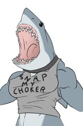 anthro breasts clothed clothing fangs female fish grey_body marine meme multicolored_body muscular muscular_anthro muscular_female nightmare_fuel nipple_outline non-mammal_breasts open_mouth partially_clothed saruuk shark shark_girl shirt simple_background snap_my_choker solo text text_on_clothing text_on_shirt text_on_topwear tongue topwear two_tone_body what white_background