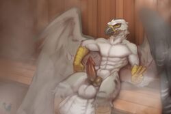 1boy abs animal_genitalia balls erection feathers gryphon male male_only penis sauna solo_male temils