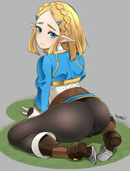 princess zelda from breath of the wild by butcha-u