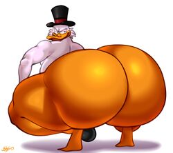 ass avian big_ass big_bulge big_butt bobthetanuki bulge disney duck extrasizedbob glasses huge_ass huge_bulge huge_butt hyper_ass hyper_bulge hyper_butt looking_at_viewer looking_back male male_only scrooge_mcduck solo solo_male thick_thighs thong top_hat white_feathers