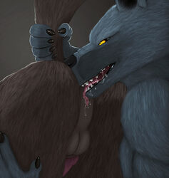 5_fingers anal anthro anthro_on_anthro ass backsack balls black_claws black_nose bodily_fluids brown_body brown_fur canid canine canis claws drooling duo erection faceless_male fingers fur genitals glistening_claws grey_background grey_body grey_fur hip_grab knot licking looking_at_another looking_at_partner male male/male mammal oral penis rimming saliva sex side_view simple_background snout tail_grab tallion tongue tongue_out were werecanid werecanine werewolf wolf yellow_eyes