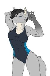 anthro black_hair blue_eyes canid canine canis clothed clothing female fluffy fluffy_tail fur genitals grey_body grey_fur hair hi_res kyla mammal multicolored_body multicolored_fur muscular muscular_anthro muscular_female nipple_outline one-piece_swimsuit one_eye_closed partially_clothed pussy saruuk simple_background smile solo spreading swimwear white_background wolf