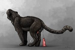2017 anatomically_correct anatomically_correct_anus anatomically_correct_genitalia anatomically_correct_penis anchee animal_genitalia animal_penis anus ass balls black_body black_fur black_spots bodily_fluids cum cum_string cumshot digital_media_(artwork) digitigrade dildo ejaculation erection felid feline_penis feral fur genital_fluids genitals leopard_spots male male_only mammal melanistic pantherine paws penis perineum pink_penis quadruped sex_toy signature simple_background solo spots spotted_body spotted_fur whiskers