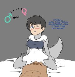 2019 abs anthro bed blue_eyes blush bottomless breasts canid canine canis clothed clothing costume cowgirl_position dialogue duo english_text faceless_male female female_on_top female_penetrated fur furniture fursuit gender_transformation genitals grey_background grey_body grey_fur grey_hair hair human kneeling light_skin lying male male_on_bottom male_penetrating male_penetrating_female mammal megazone23 meter navel nude on_back on_bed on_bottom on_top penetration penis pubes pussy sex simple_background skinsuit species_transformation straight suit_transformation tailwag tan_body tan_skin text transformation tube_top vaginal_penetration white_body white_fur wolf