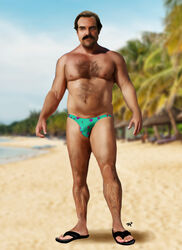 1boy beach beefcake celebrity david_harbour hairy heroforpain jim_hopper male male_only pinup solo speedo stranger_things swimwear