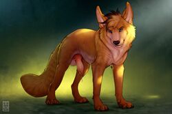 anchee animal_genitalia animal_penis balls blue_eyes canid canine canine_penis digitigrade feral fluffy fluffy_tail fur genitals knot male male_only mammal penis precum_drip solo yellow_body yellow_fur