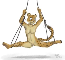 acrobatics aleks_howes anthro beastars breasts carnivore cheetah felid feline female fur hi_res mammal plantigrade rope shiira_(beastars) solo spots spotted_body spotted_fur